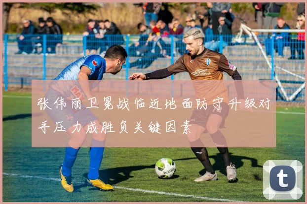 张伟丽卫冕战临近地面防守升级对手压力成胜负关键因素